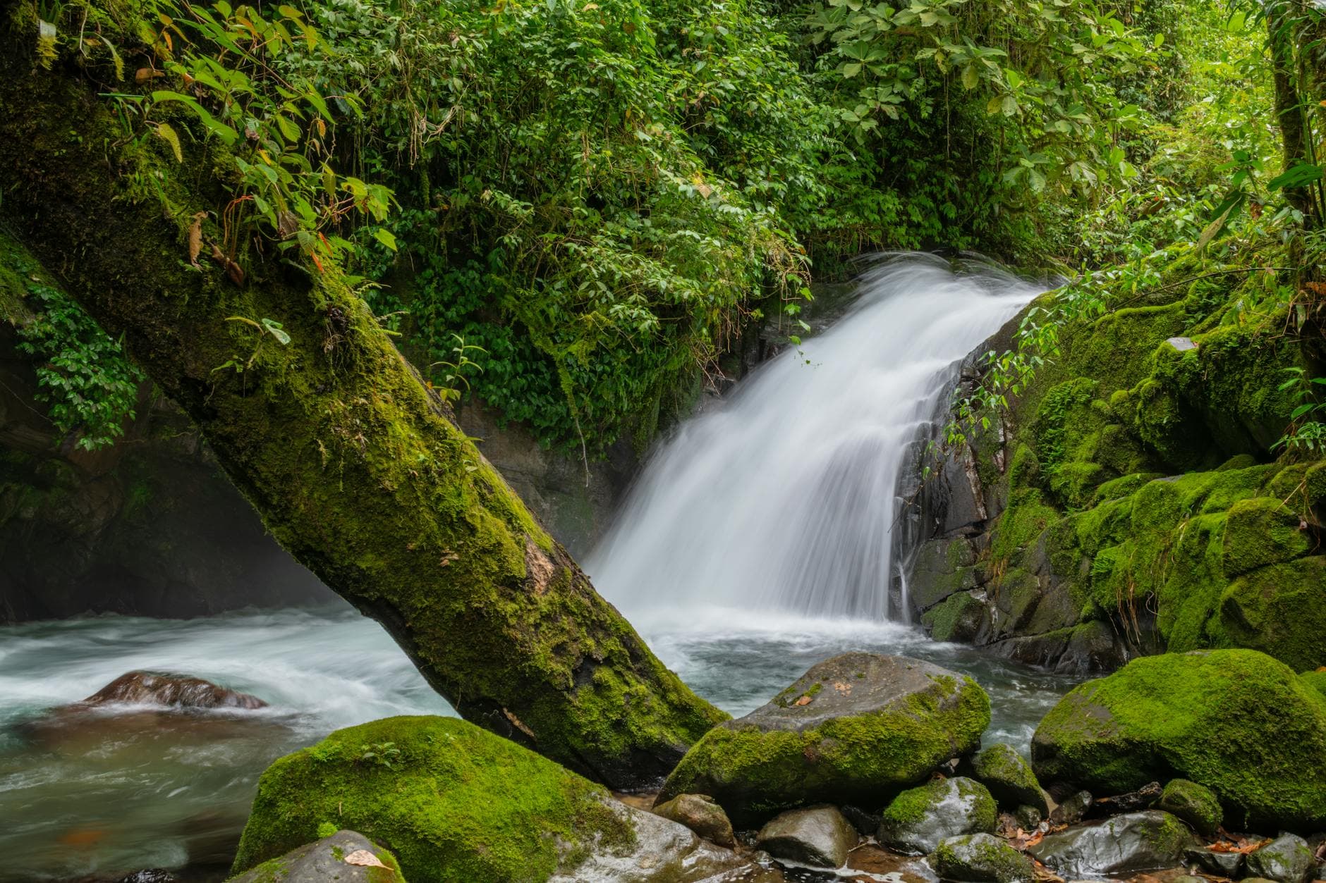 ALTERNATIVE DESTINATIONS IN COSTA RICA
