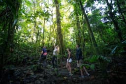 arenalhike_bosque_entrada_3