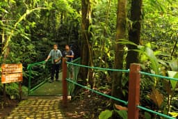 hike-bridge walk