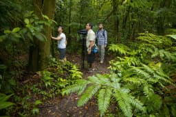 rainforest-expedition