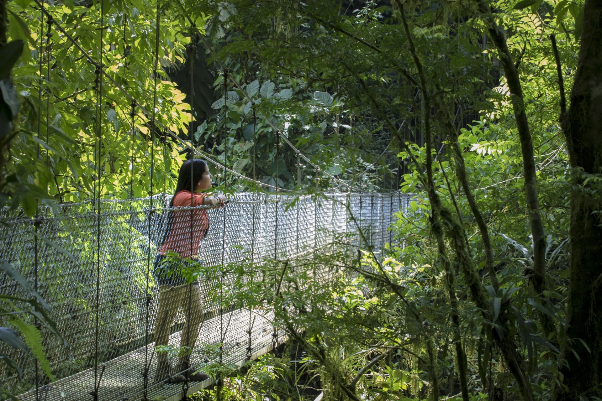 Arenal Hanging Bridges: What to Expect
