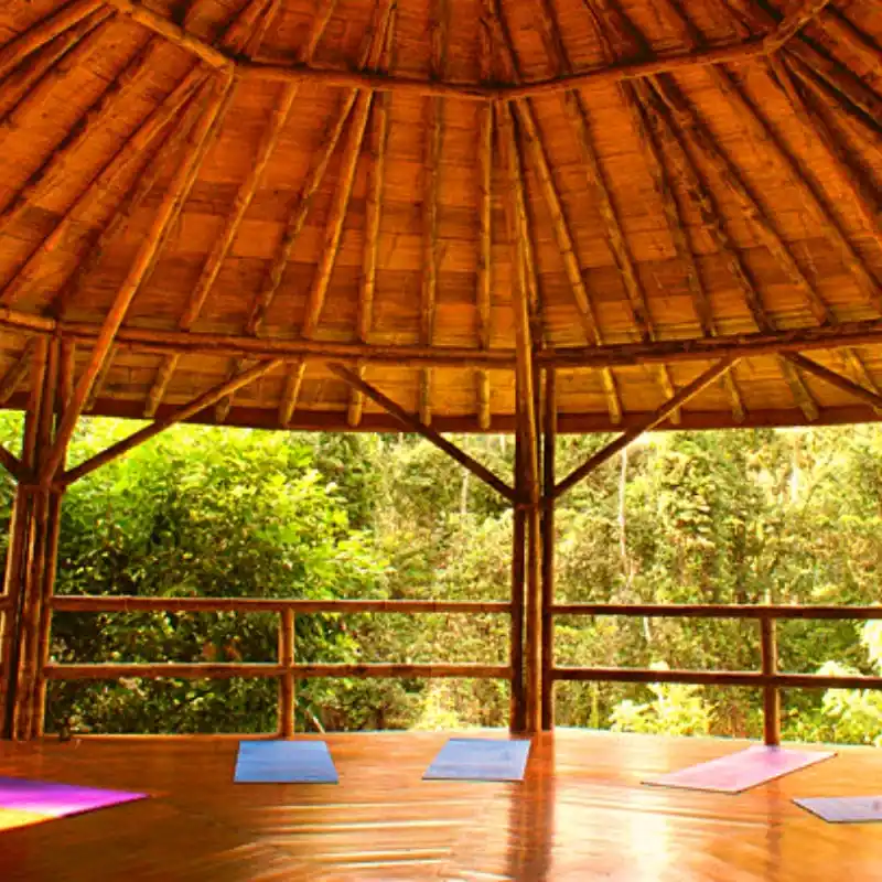 Sunrise yoga surrounded by nature in Costa Rica
