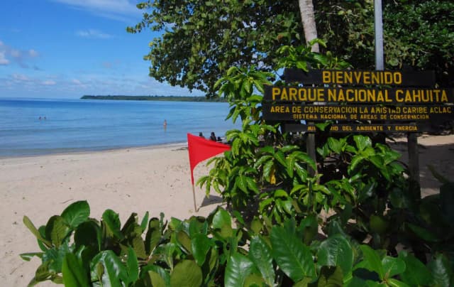 Hike Cahuita National Park Trails