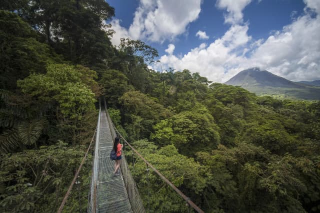 Explore the Arenal Hanging Bridges