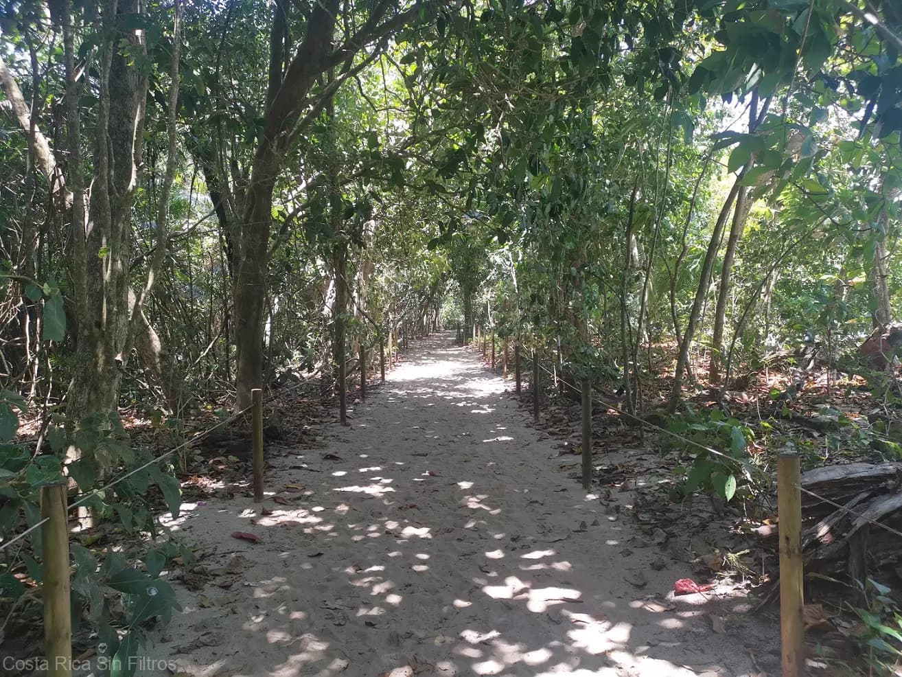Damas Island Mangrove & Wildlife Tour