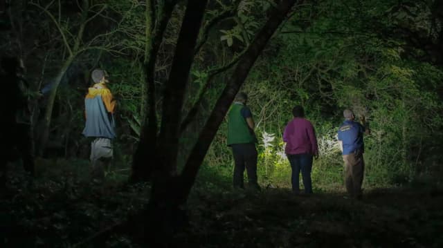 Night Wildlife Tour