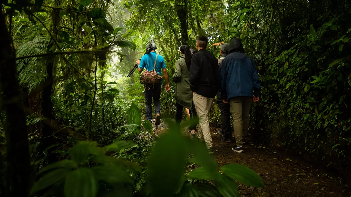 Hike Monteverde Cloud Forest Reserve