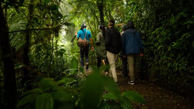 Hike Monteverde Cloud Forest Reserve