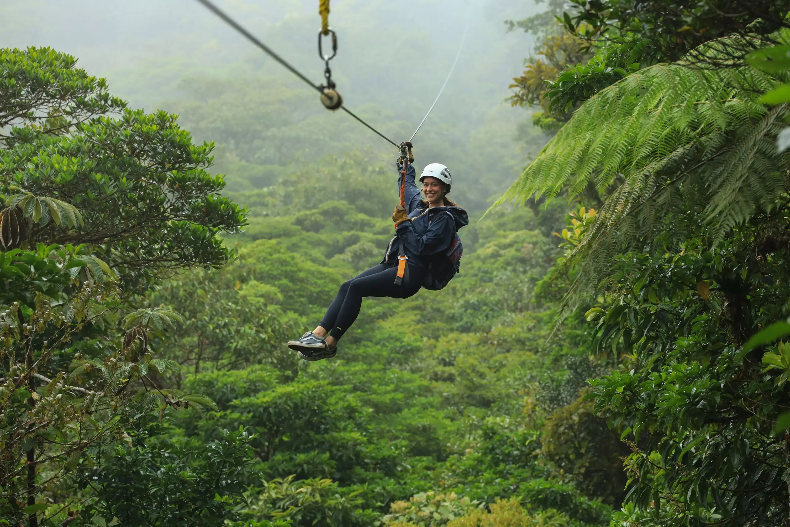 Misty Monteverde cloud forest canopy Zipline over the Monteverde cloud forest canopy