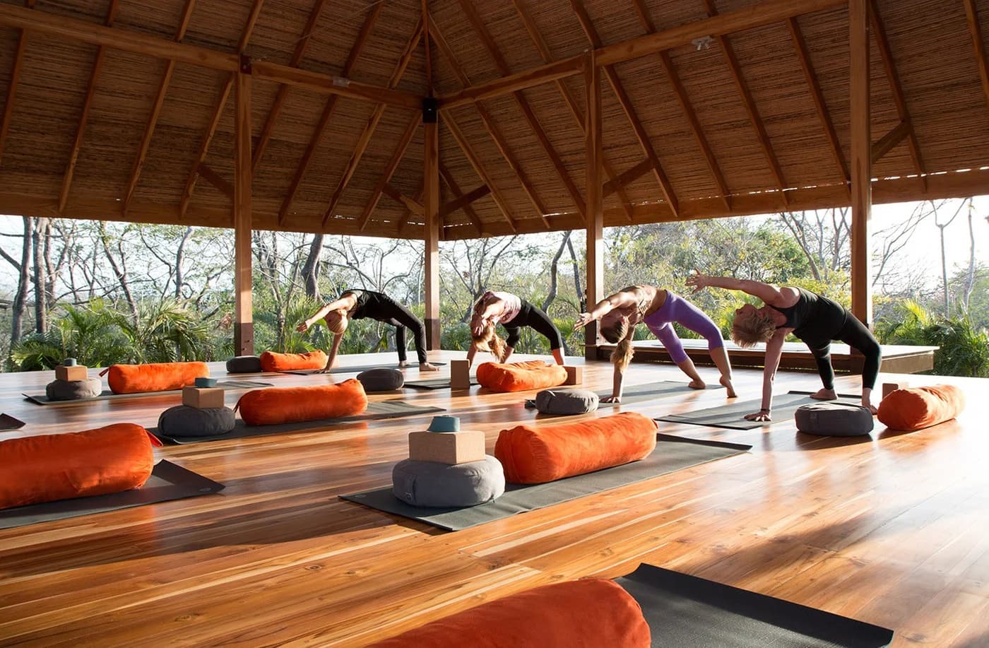 Beach & Jungle Yoga