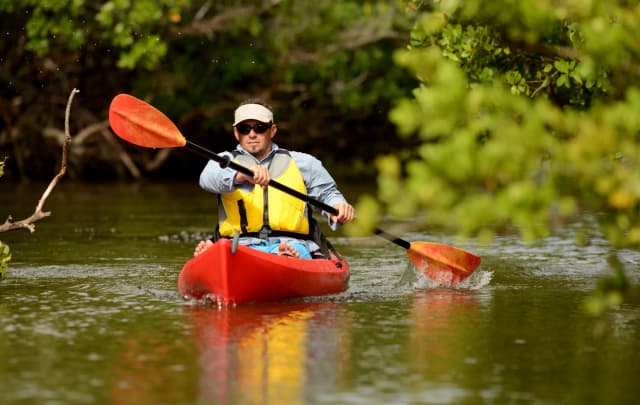 Wildlife SUP & Kayak