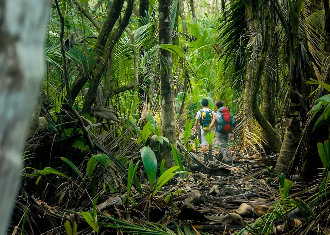 Hike Corcovado National Park