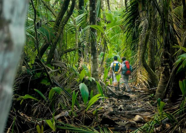 Hike Corcovado National Park
