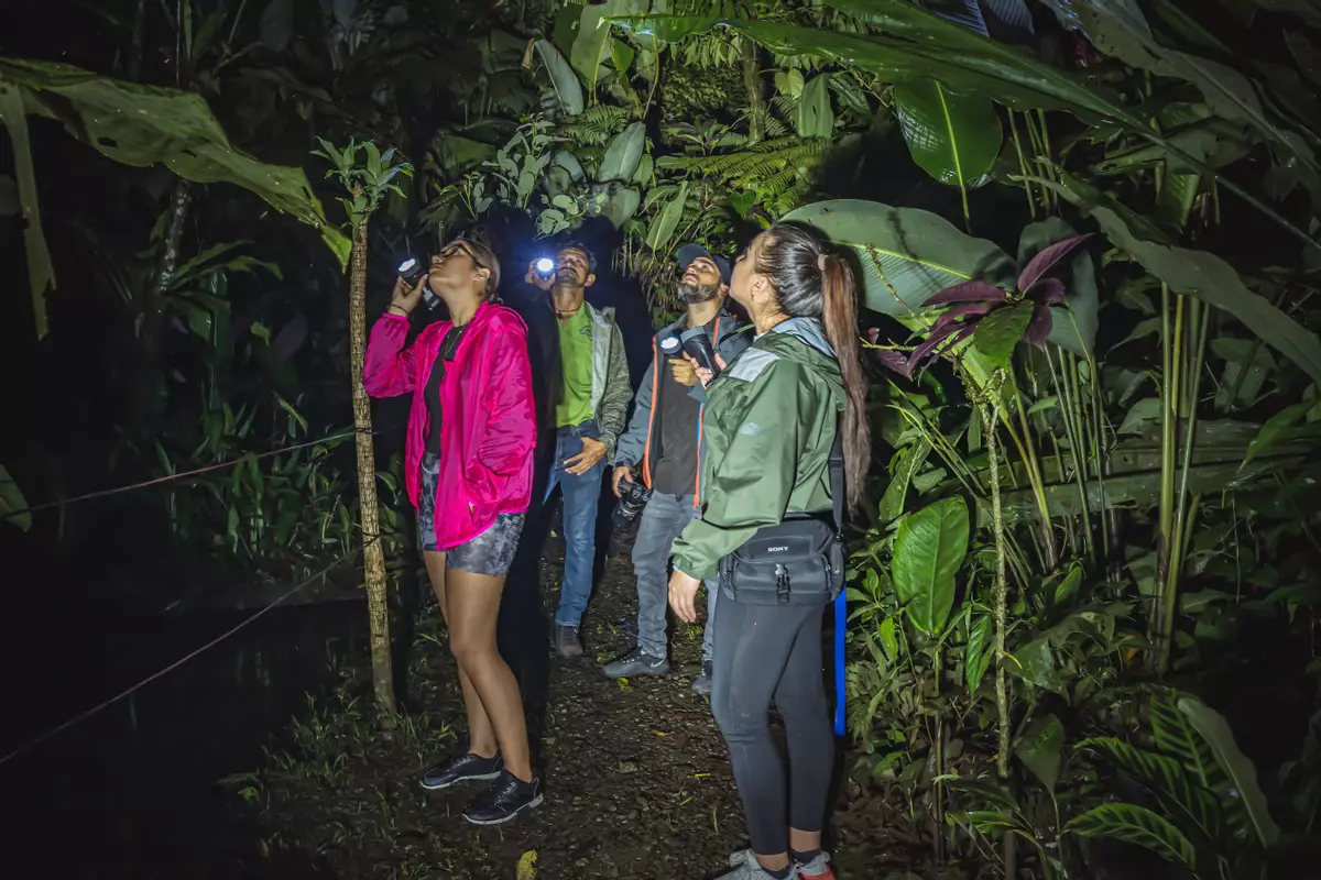 Jungle Night Walk