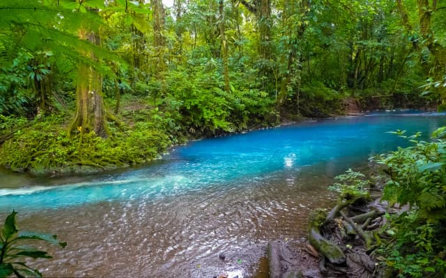 Try River Tubing