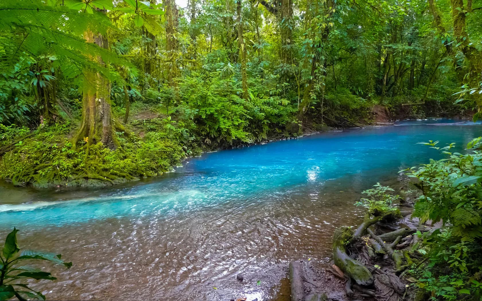 Rio Celeste & Tenorio Volcano
