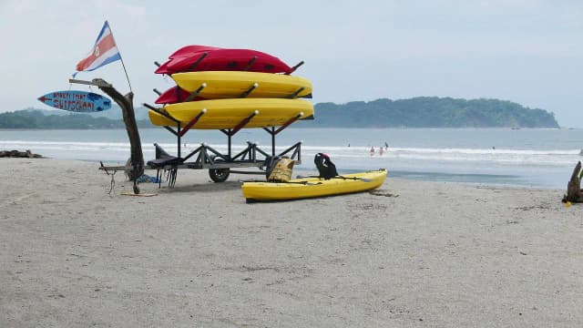 Kayak & SUP in the Estuary