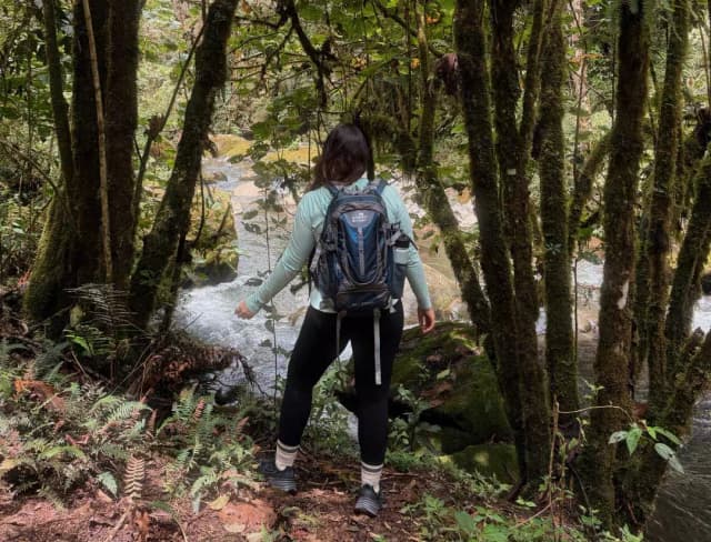 Hike Savegre River Trails