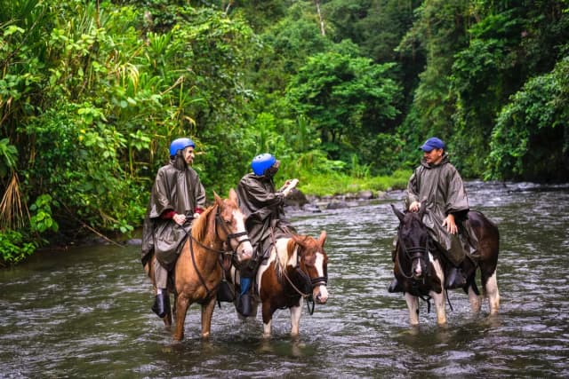 Horseback Tours Through Highlands
