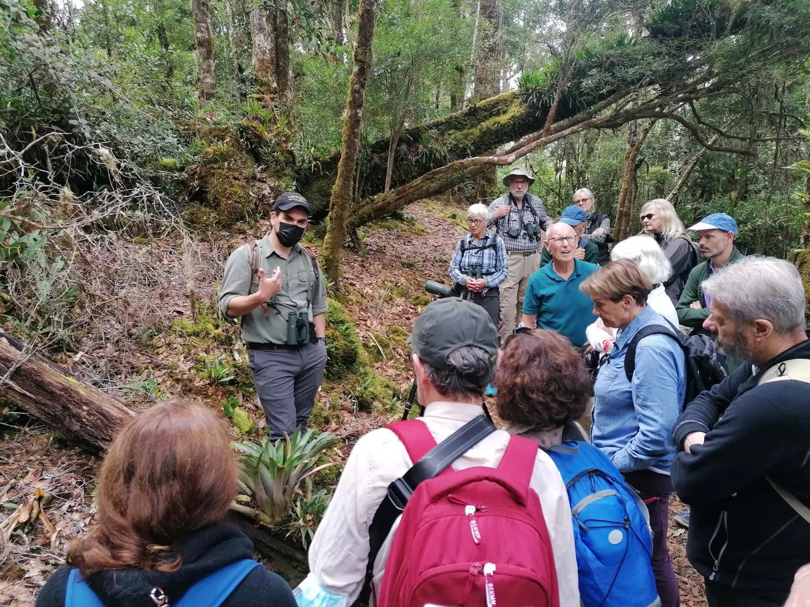 Visit Dantica Cloud Forest Reserve