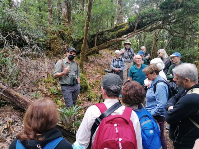 Visit Dantica Cloud Forest Reserve