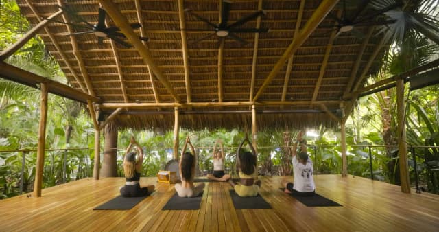 Yoga & Wellness Retreats
