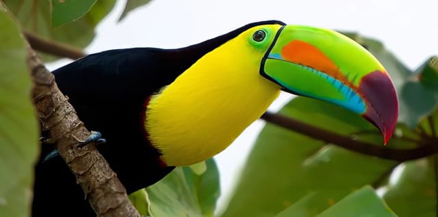 Farm Tours & Bird Watching