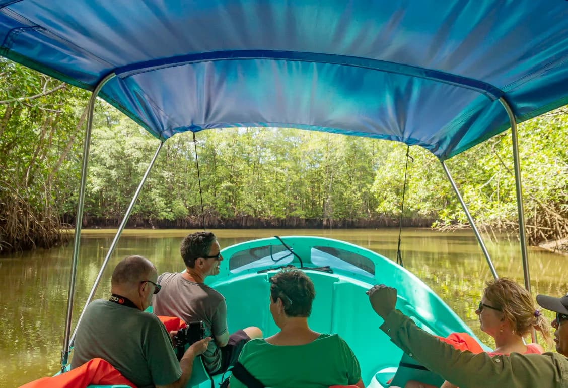 Estuary Boat & Wildlife Tour