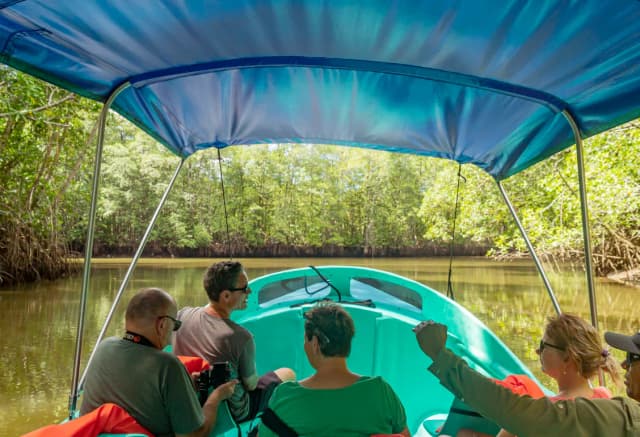 Estuary Boat & Wildlife Tour