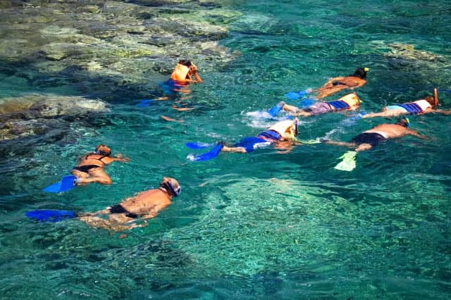 Sport Fishing & Snorkeling
