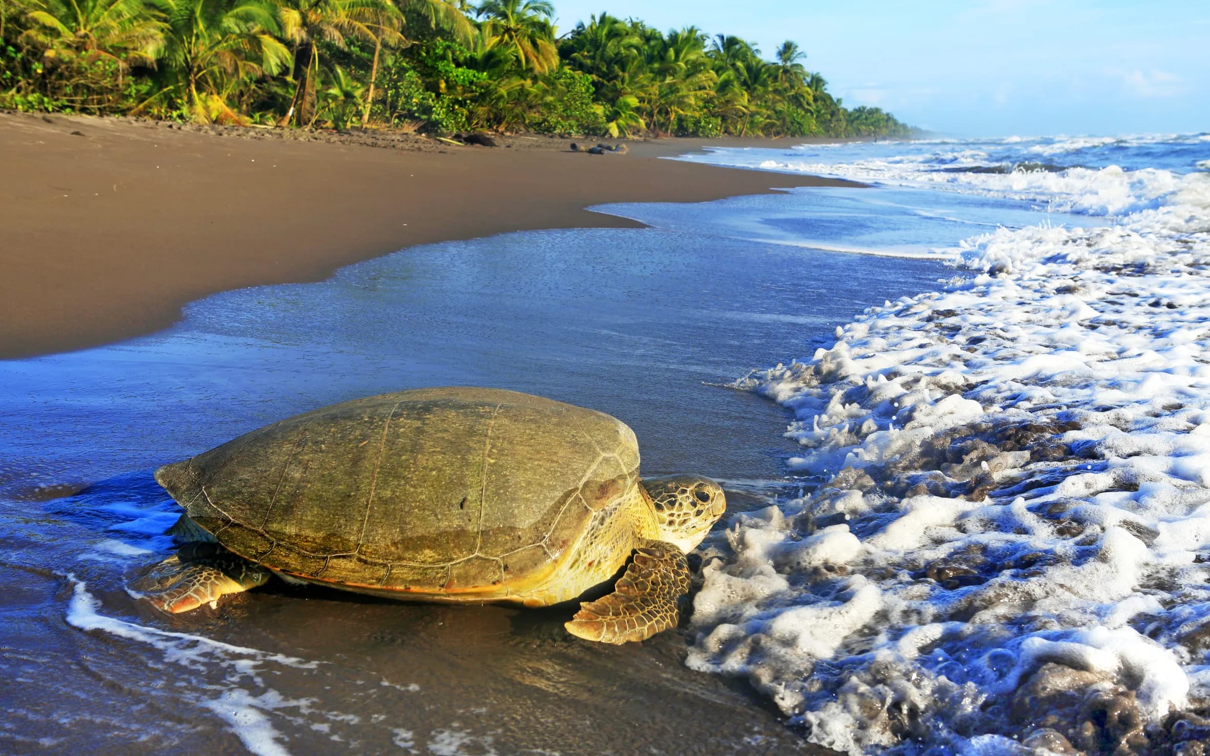 Tortuguero National Park