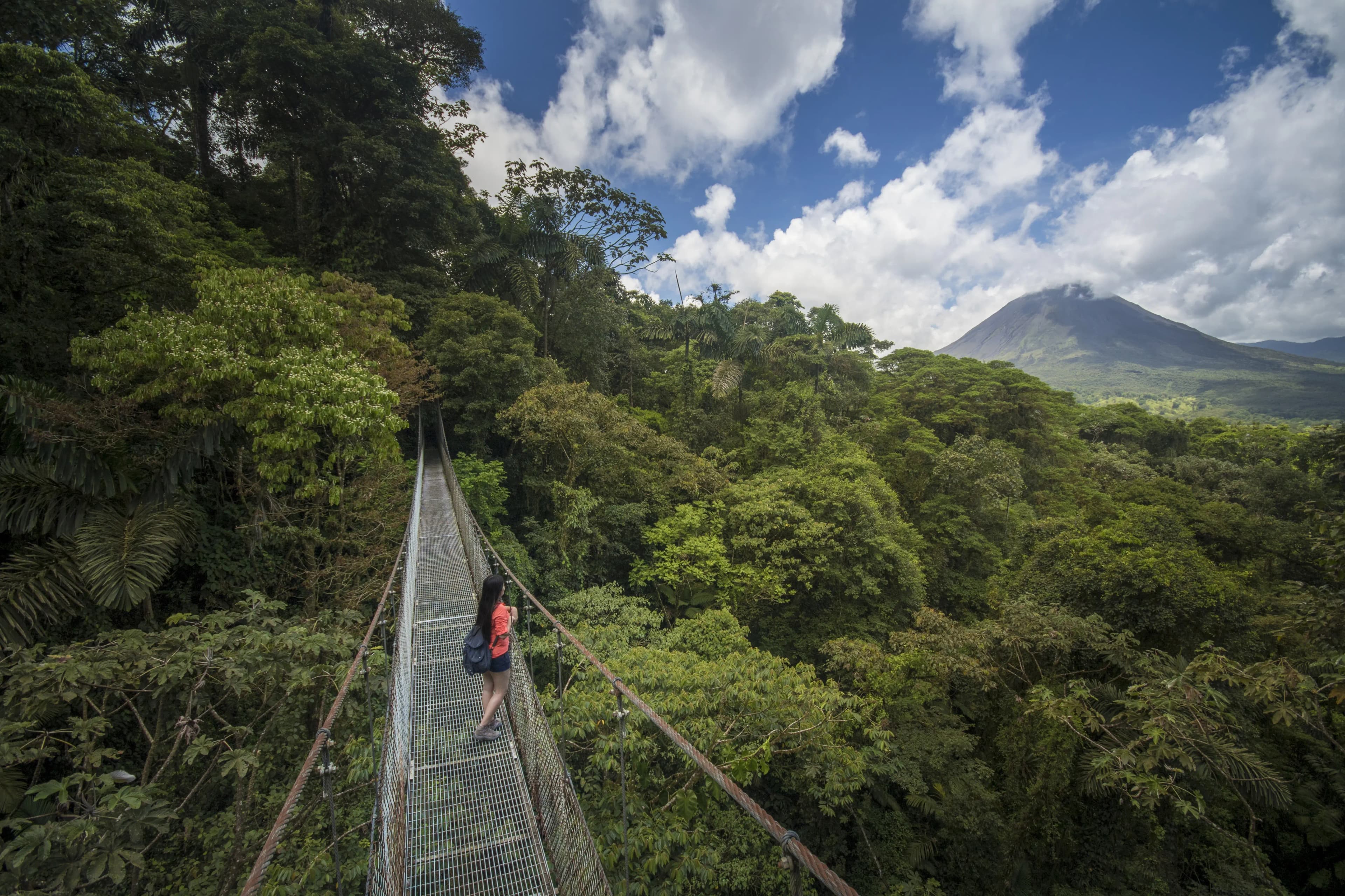 Hanging Bridges Hike bridge view2