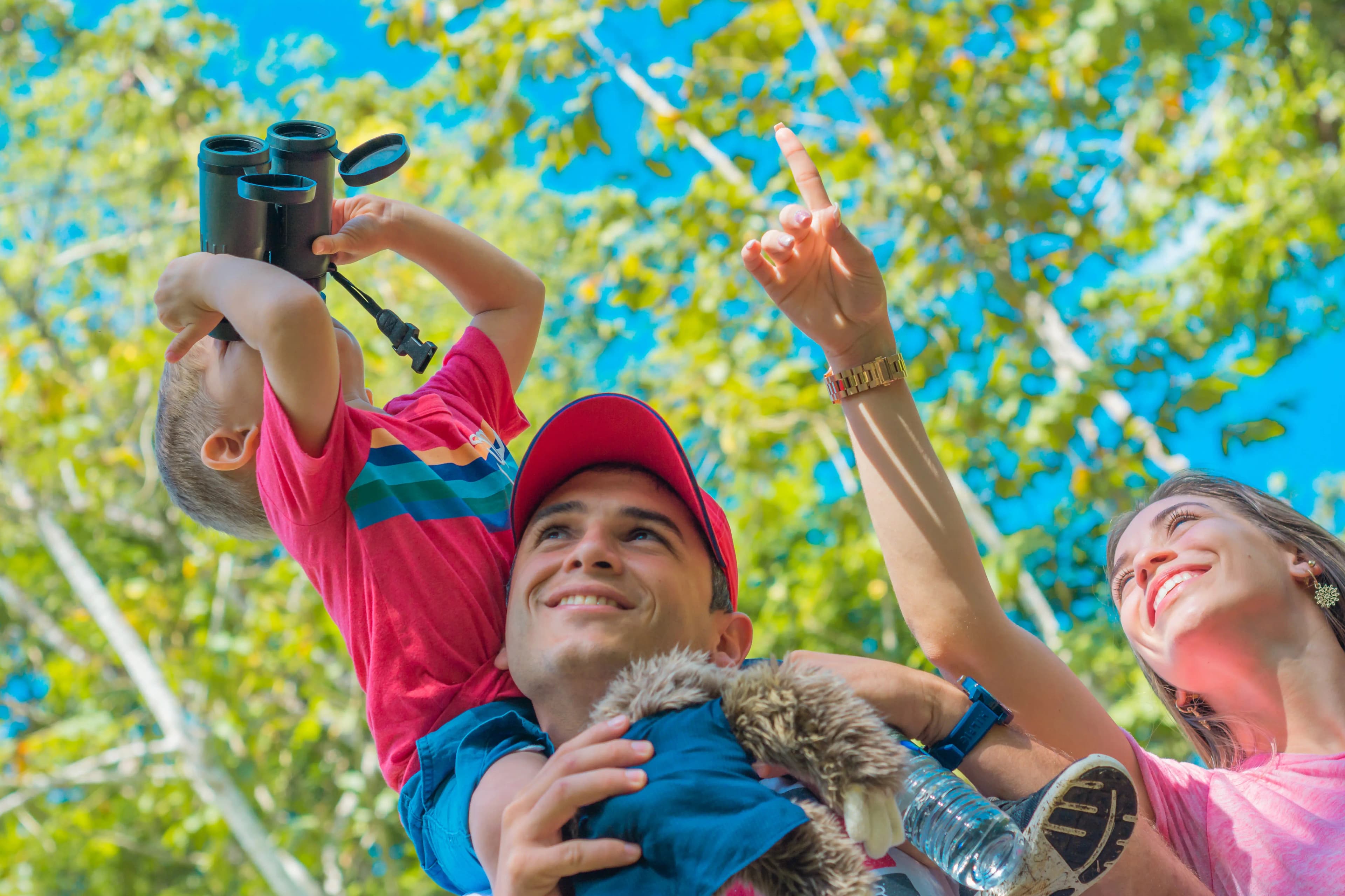 Family watching the sloth