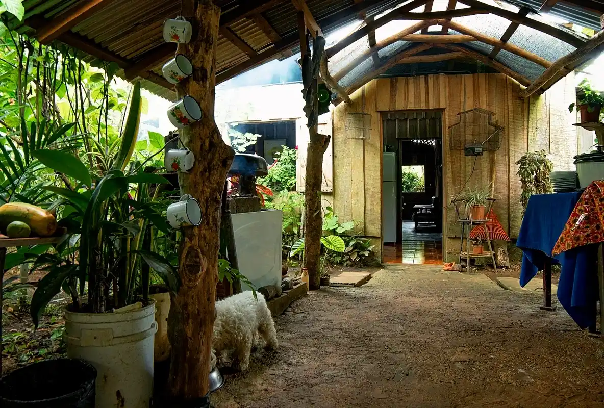 Pura Vida, Mae, and Costa Rica Culture: Tico Slang for Your Trip